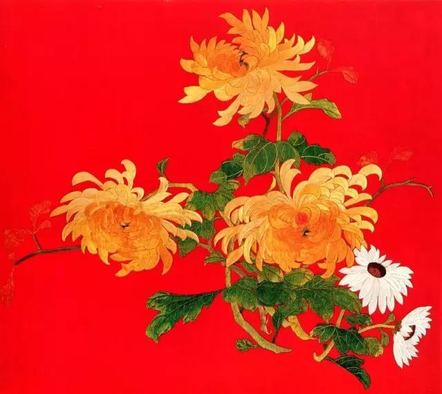 5、菊花圖案